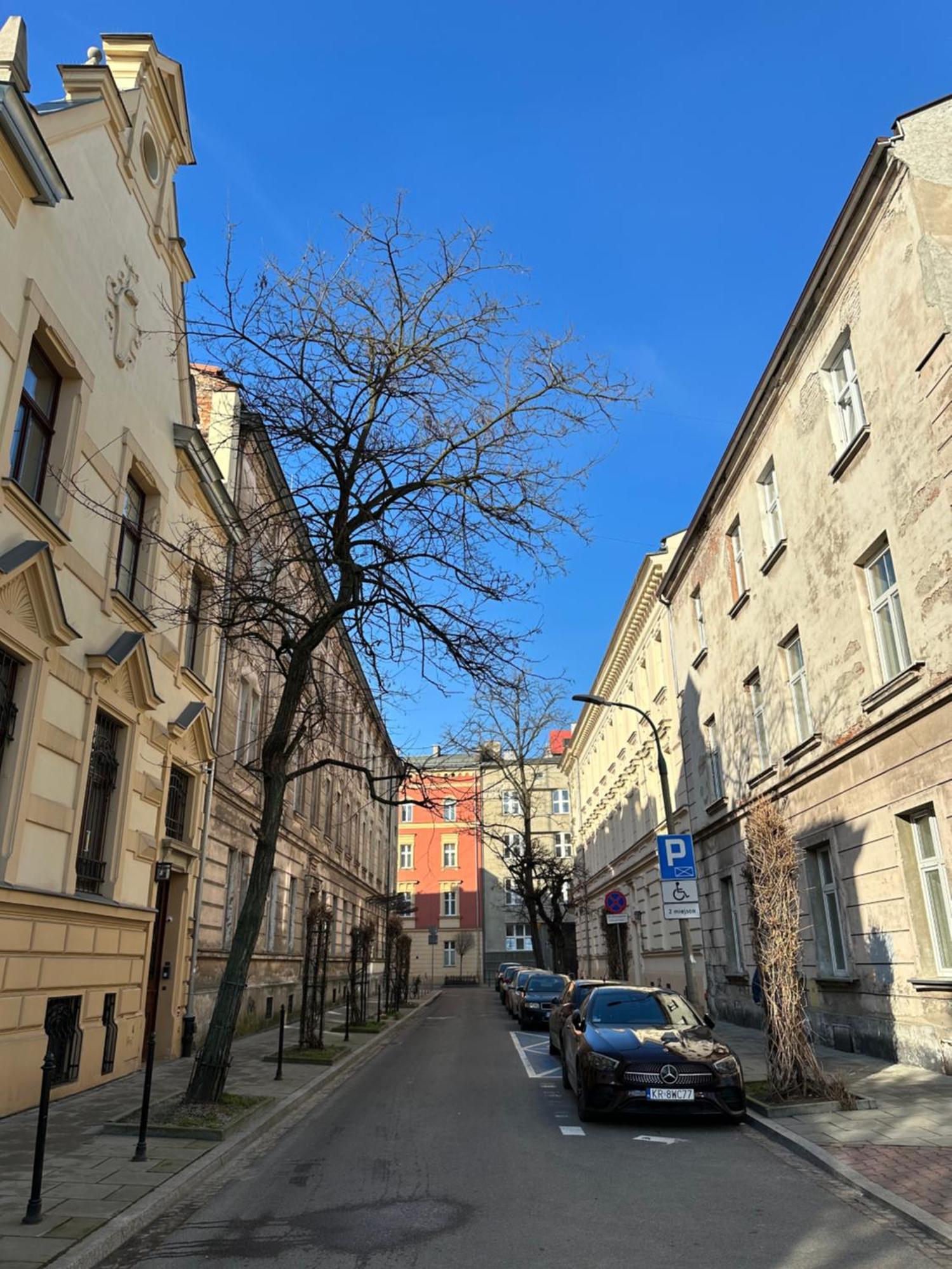 Perfect Place To Stay In Krakow City Center 28M2 W1 Εξωτερικό φωτογραφία